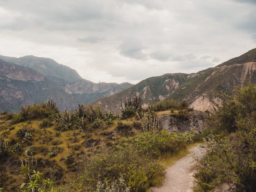 Mountain trail in the colca canyon