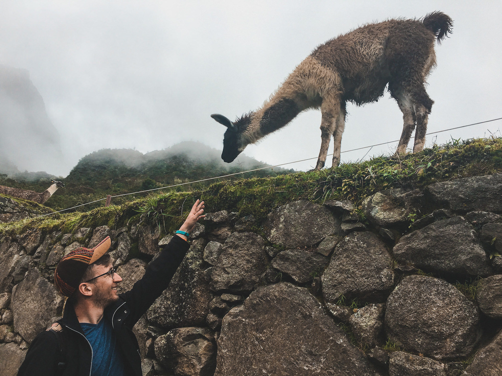Machu Picchu - zdjęcie z alpaką