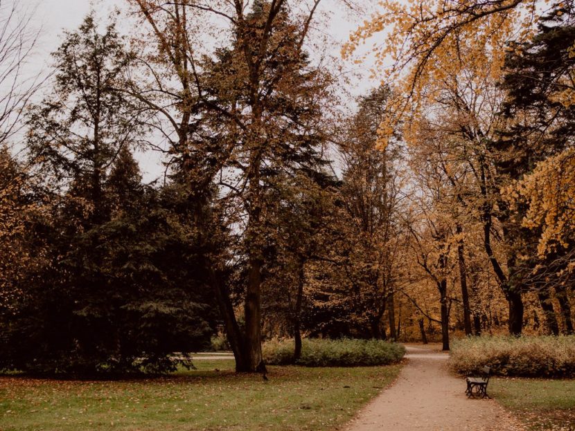 Autumn in the Royal Łazienki Park in Warsaw