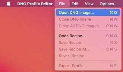 Opening the DNG File